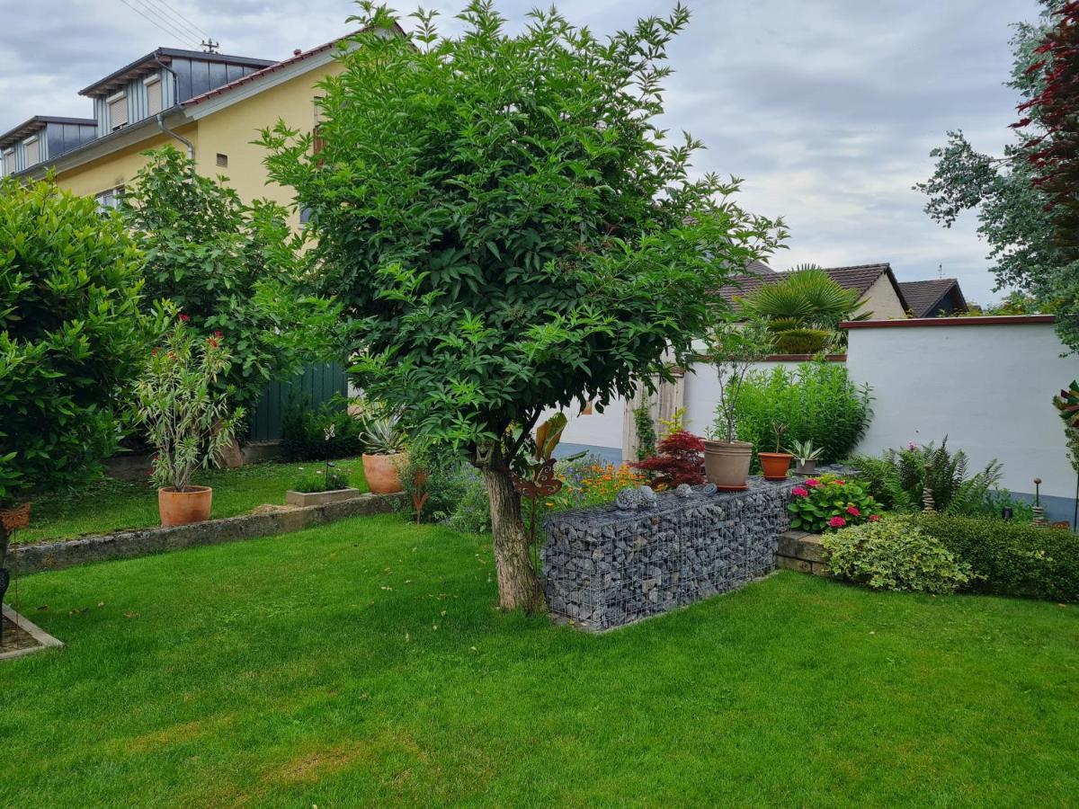 Apartmán Haus Schneider Kappel-Grafenhausen Exteriér fotografie